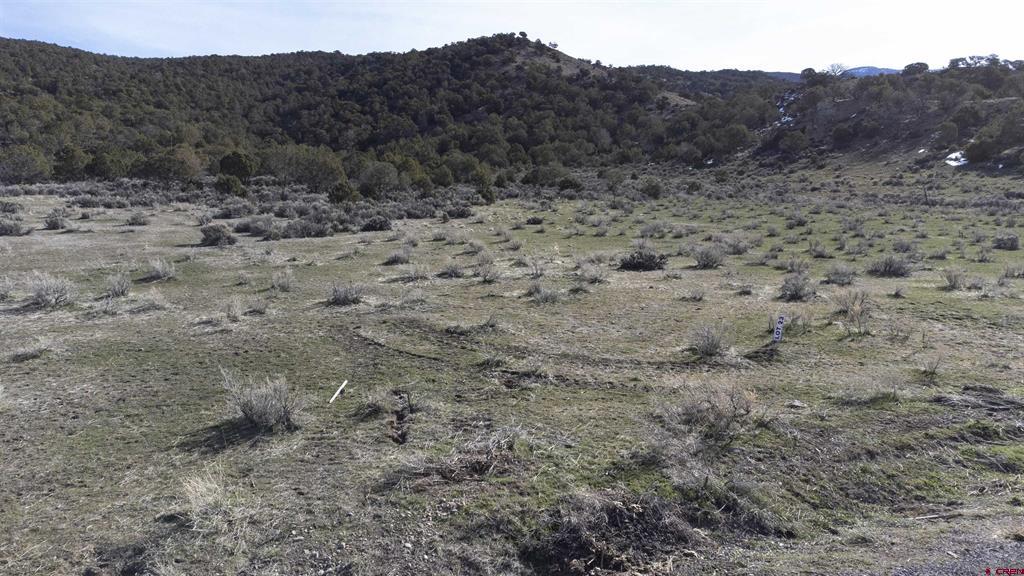 Tbd Lot 23 7250 Road Montrose CO 81403