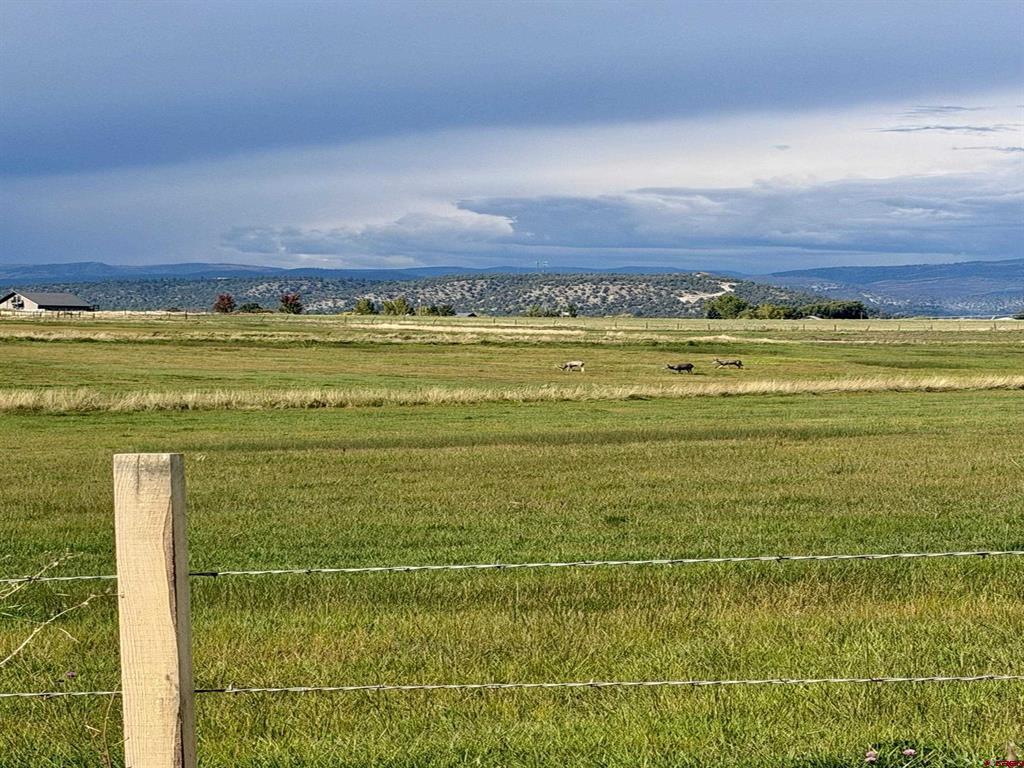 Tbd County Road 520 Bayfield CO 81122