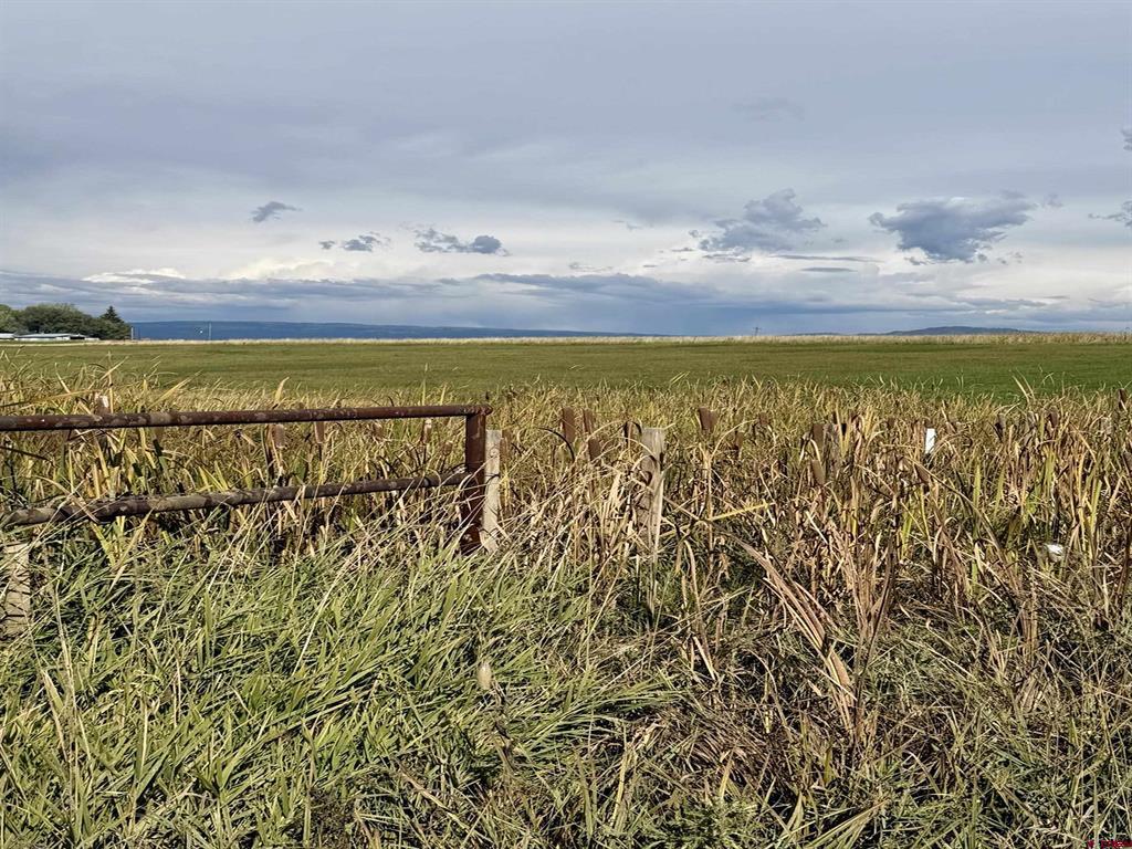 Tbd County Road 520 Bayfield CO 81122