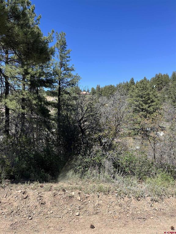 222 Pineridge Trail Pagosa Springs CO 81147