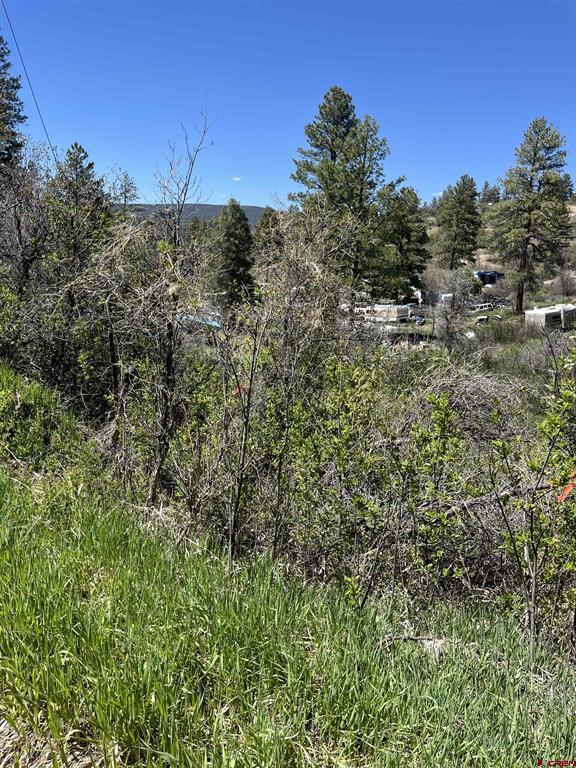 222 Pineridge Trail Pagosa Springs CO 81147
