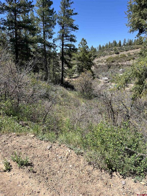 222 Pineridge Trail Pagosa Springs CO 81147