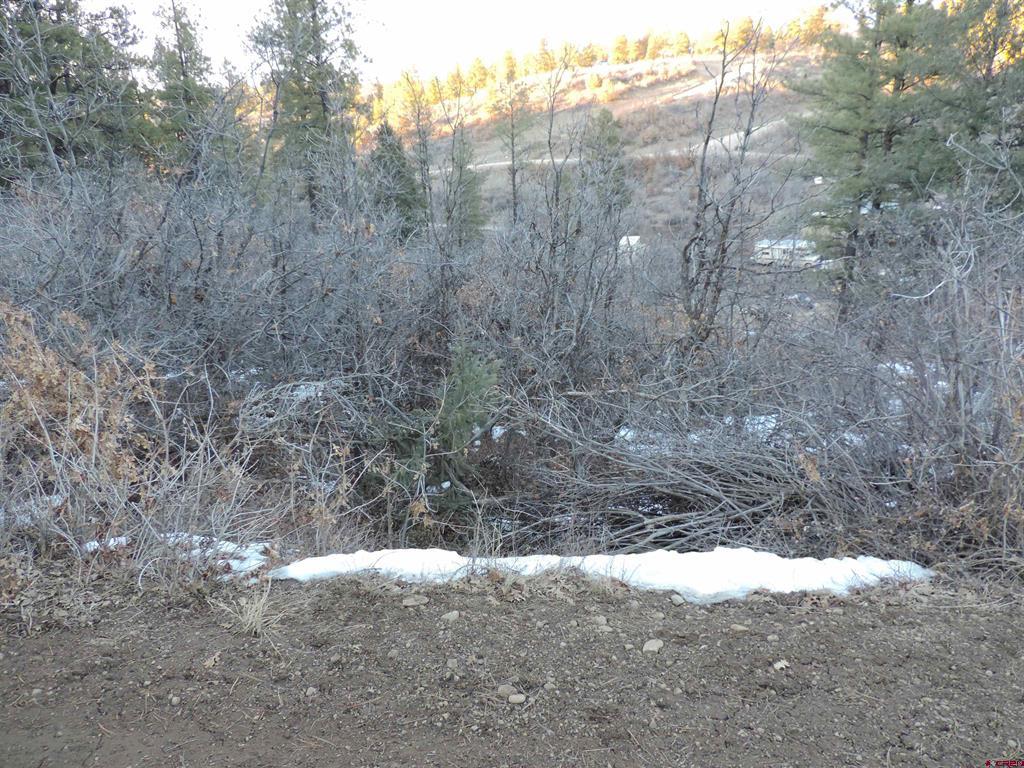 222 Pineridge Trail Pagosa Springs CO 81147