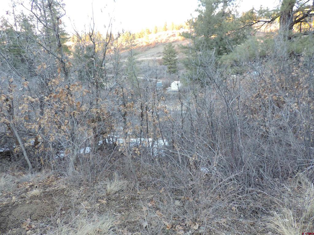 222 Pineridge Trail Pagosa Springs CO 81147