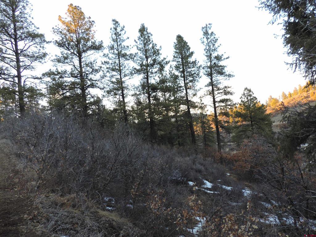 222 Pineridge Trail Pagosa Springs CO 81147