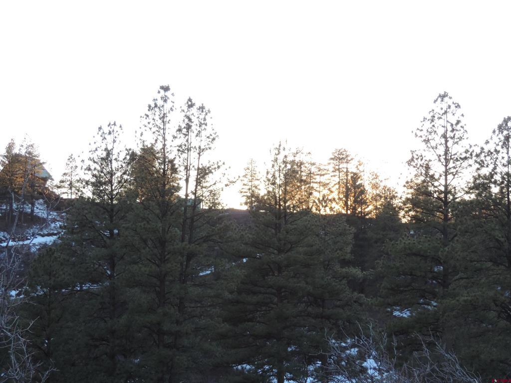 222 Pineridge Trail Pagosa Springs CO 81147