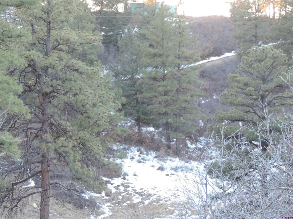 222 Pineridge Trail Pagosa Springs CO 81147