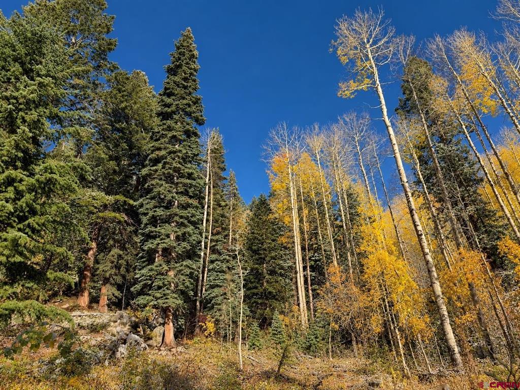 620 Eagle Wing Road Durango CO 81301