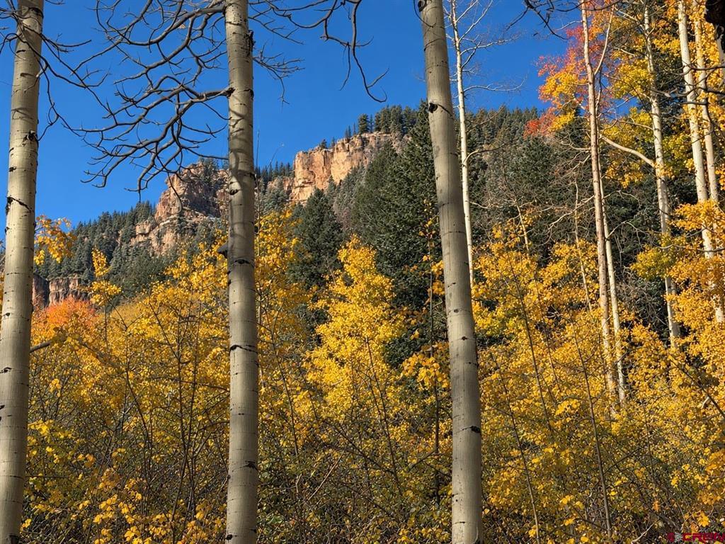 620 Eagle Wing Road Durango CO 81301