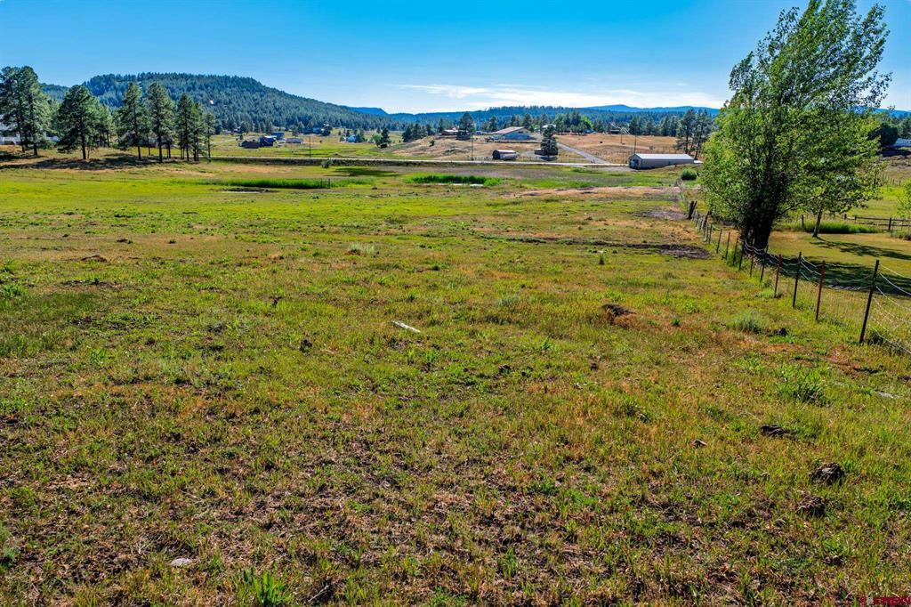 202 Pineview Pagosa Springs CO 81147