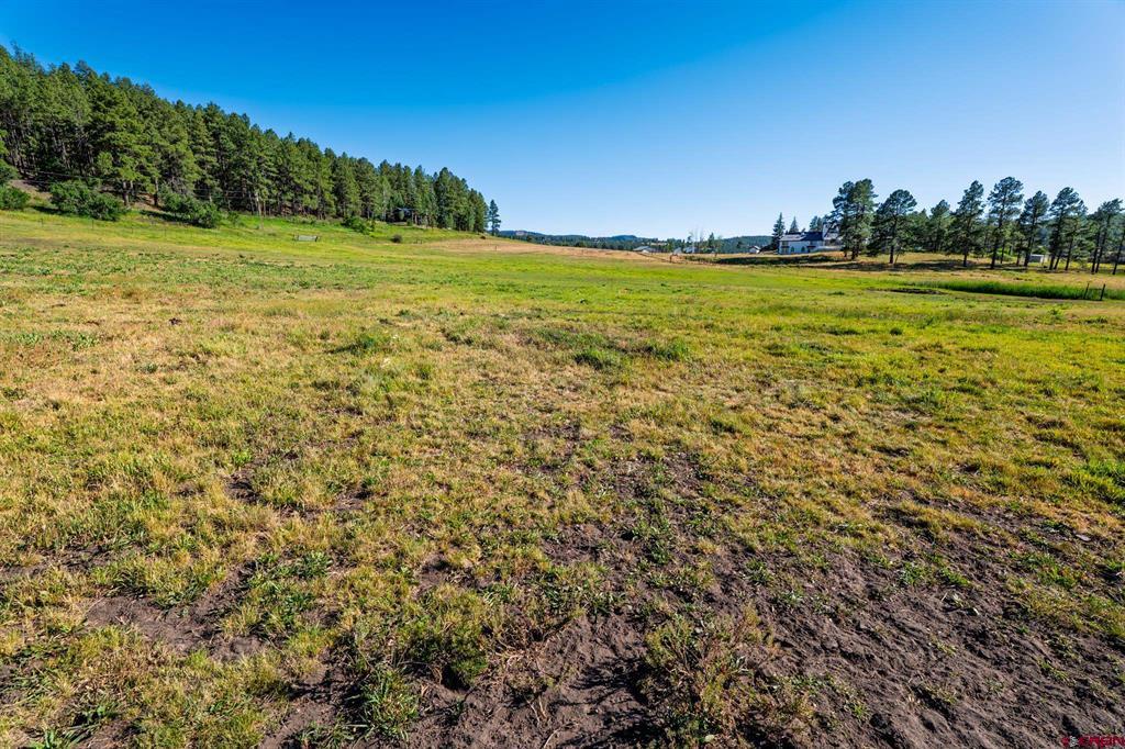 202 Pineview Pagosa Springs CO 81147