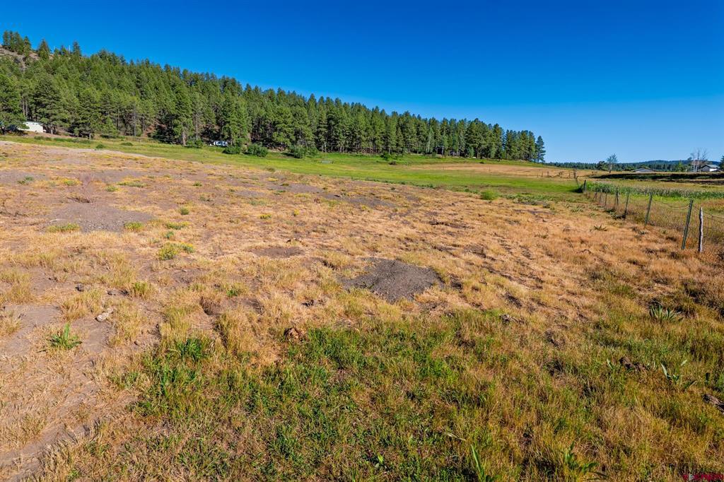 202 Pineview Pagosa Springs CO 81147