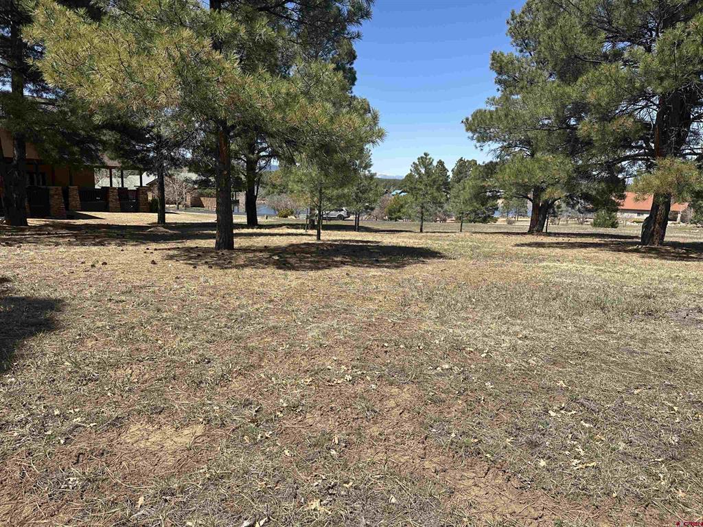 1259 Lakeside Drive Pagosa Springs CO 81147