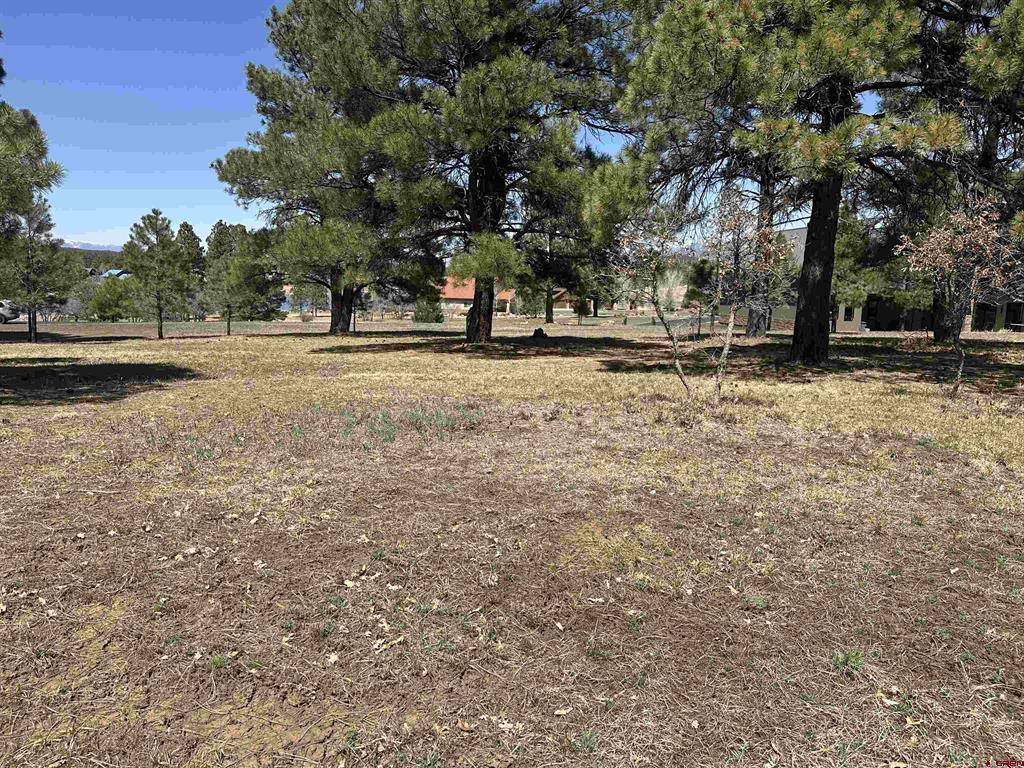 1259 Lakeside Drive Pagosa Springs CO 81147