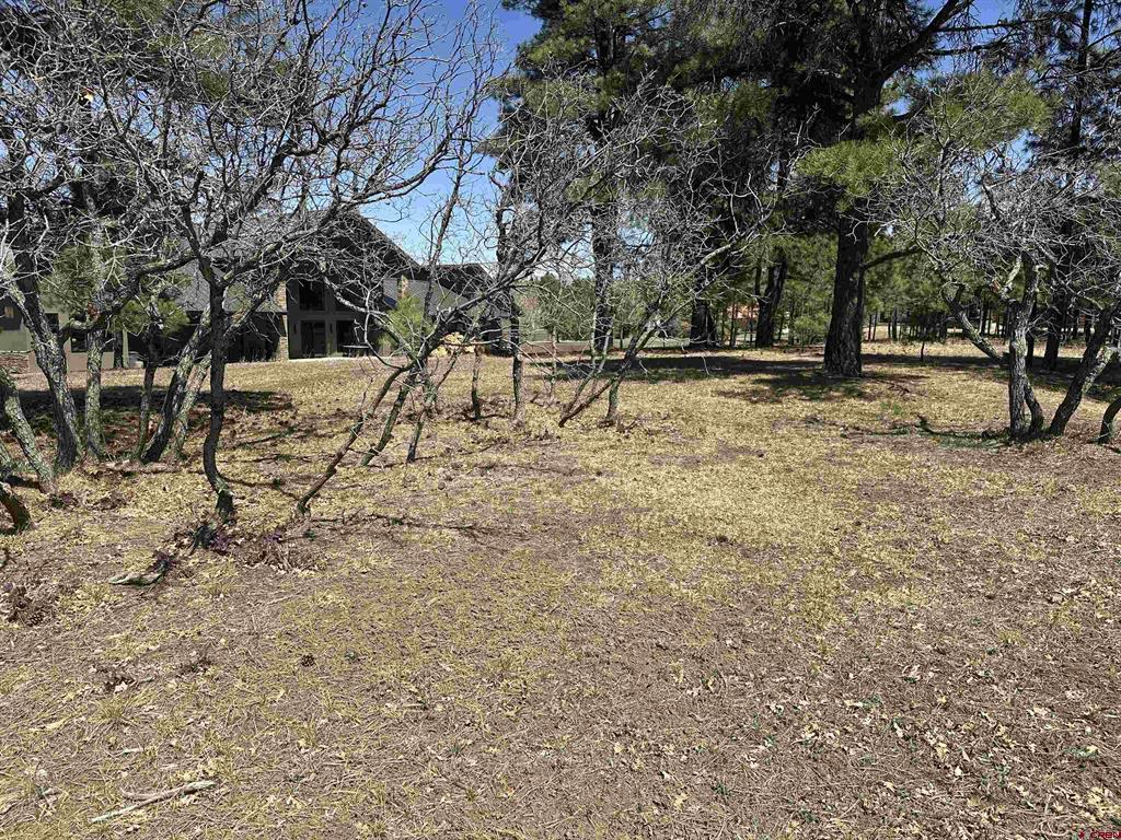 1259 Lakeside Drive Pagosa Springs CO 81147