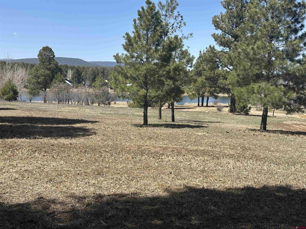 1259 Lakeside Drive Pagosa Springs CO 81147
