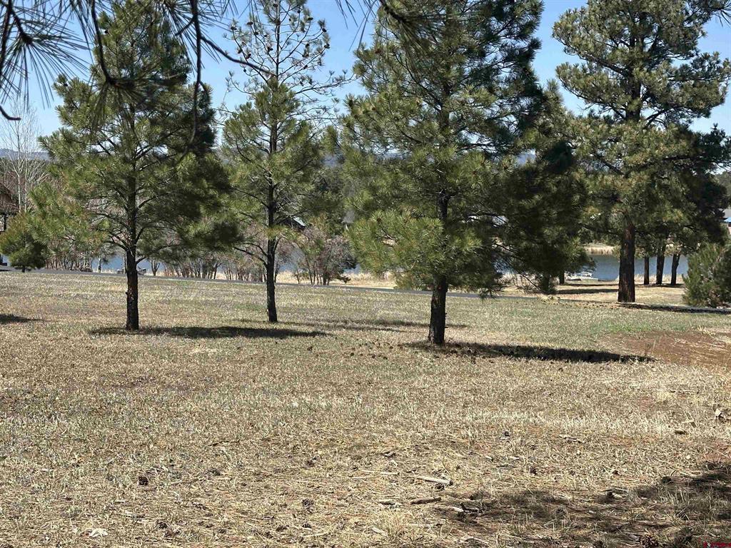1259 Lakeside Drive Pagosa Springs CO 81147