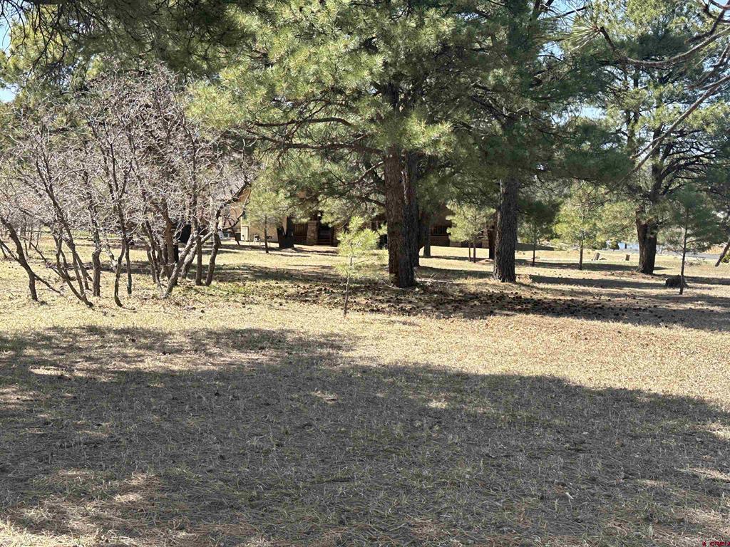 1259 Lakeside Drive Pagosa Springs CO 81147