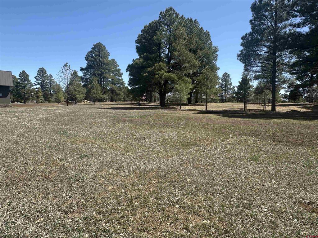 1259 Lakeside Drive Pagosa Springs CO 81147