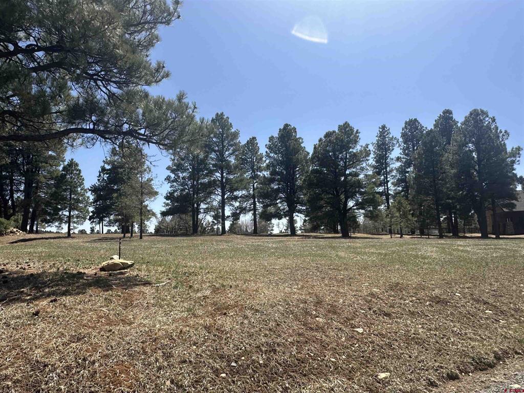 1259 Lakeside Drive Pagosa Springs CO 81147