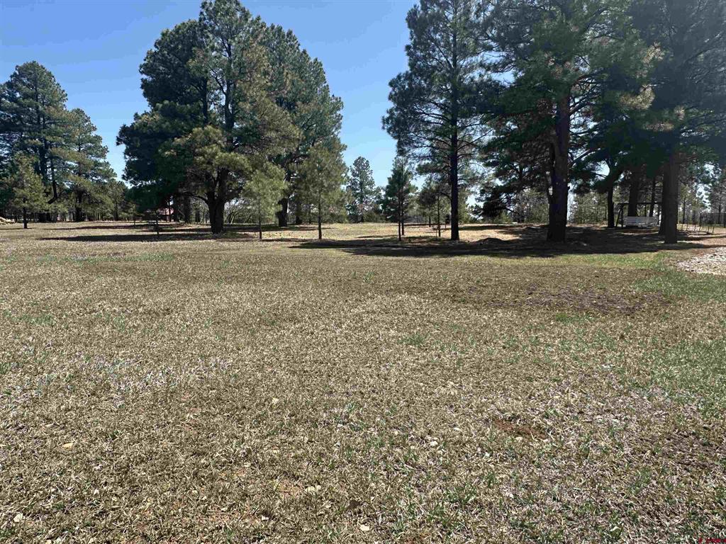 1259 Lakeside Drive Pagosa Springs CO 81147