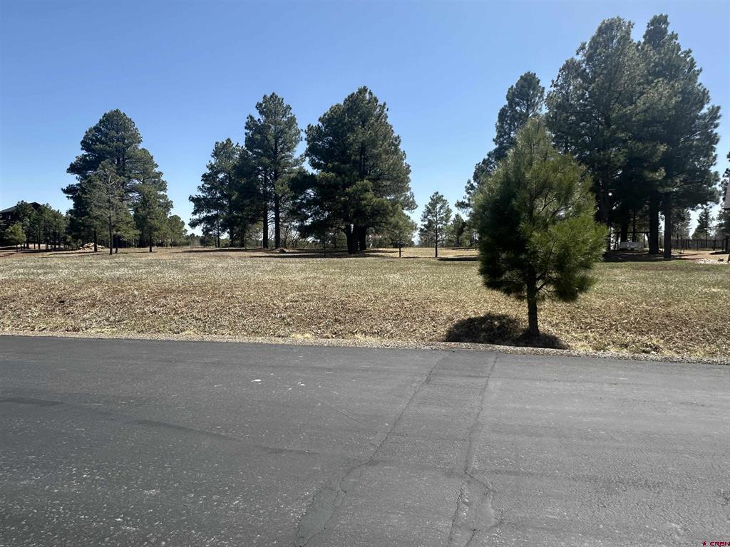 1259 Lakeside Drive Pagosa Springs CO 81147