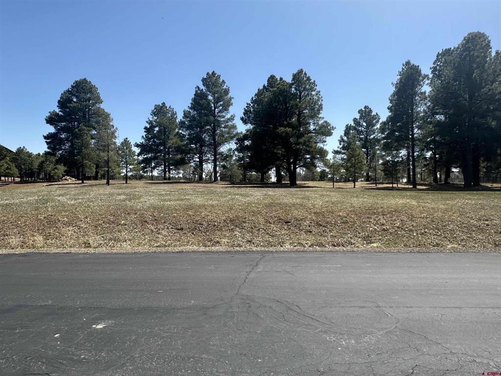 1259 Lakeside Drive Pagosa Springs CO 81147