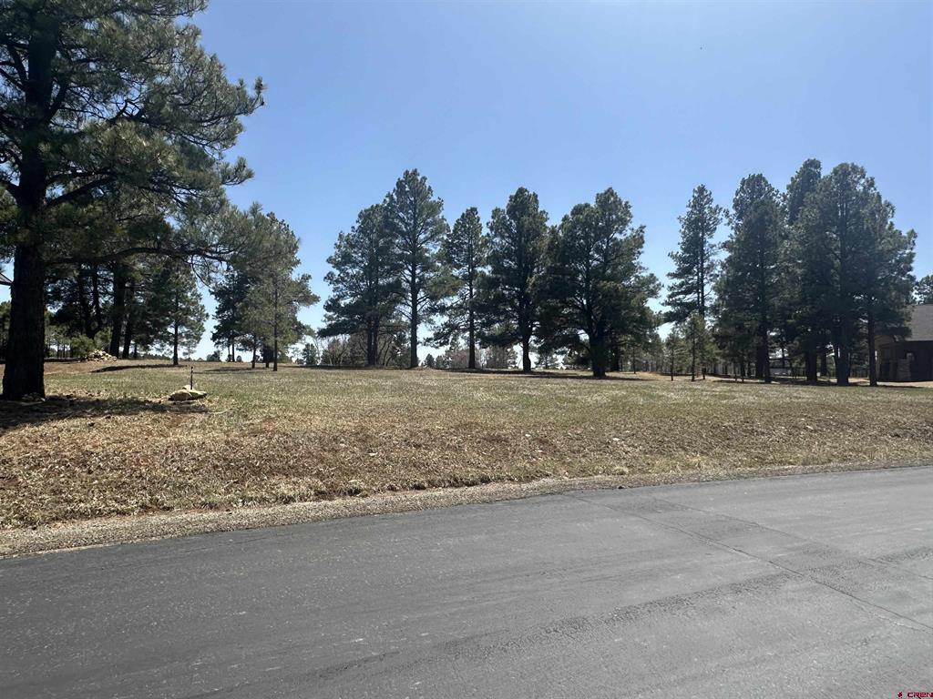 1259 Lakeside Drive Pagosa Springs CO 81147