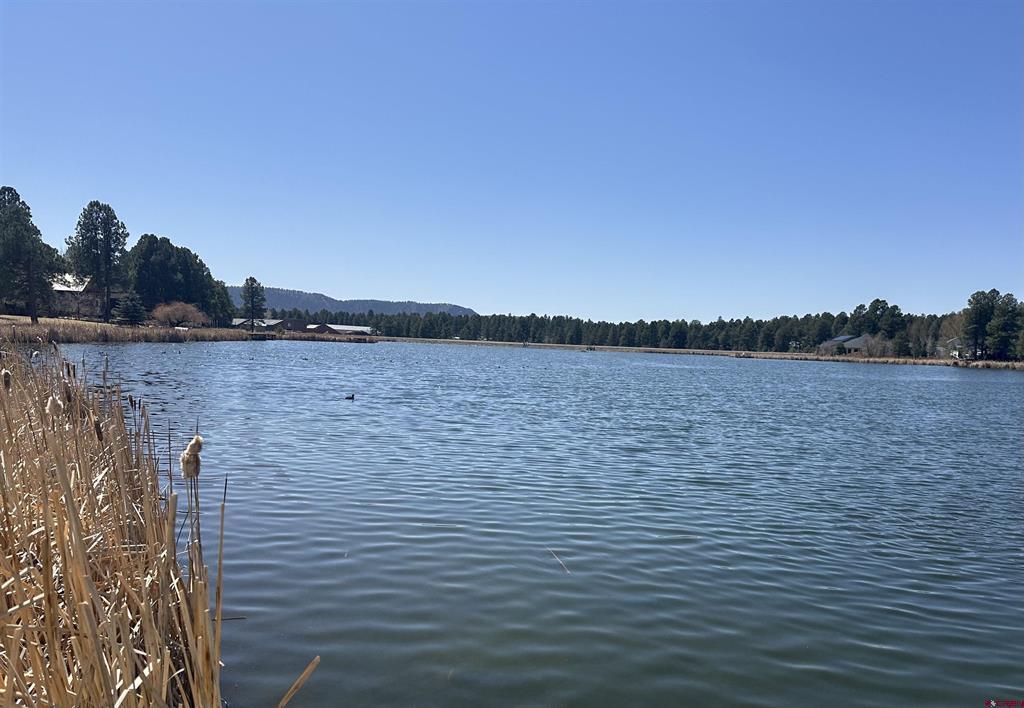 1259 Lakeside Drive Pagosa Springs CO 81147