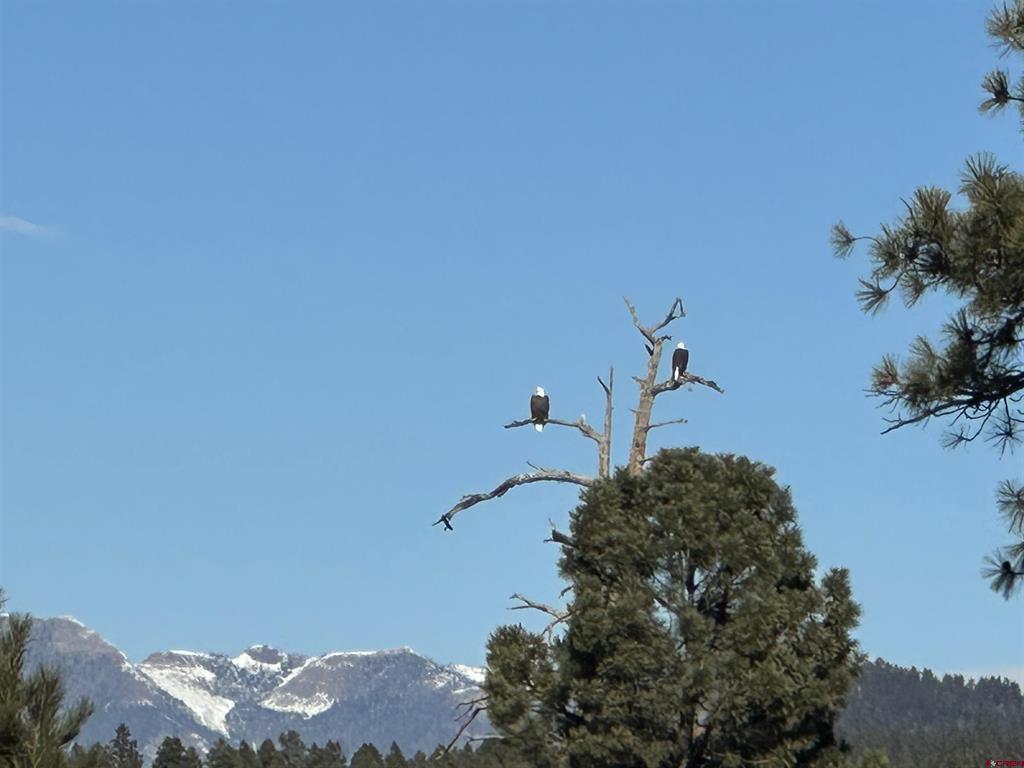 1259 Lakeside Drive Pagosa Springs CO 81147