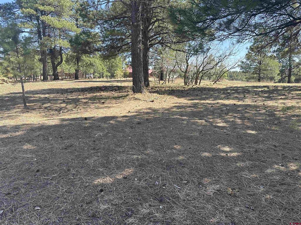 1259 Lakeside Drive Pagosa Springs CO 81147