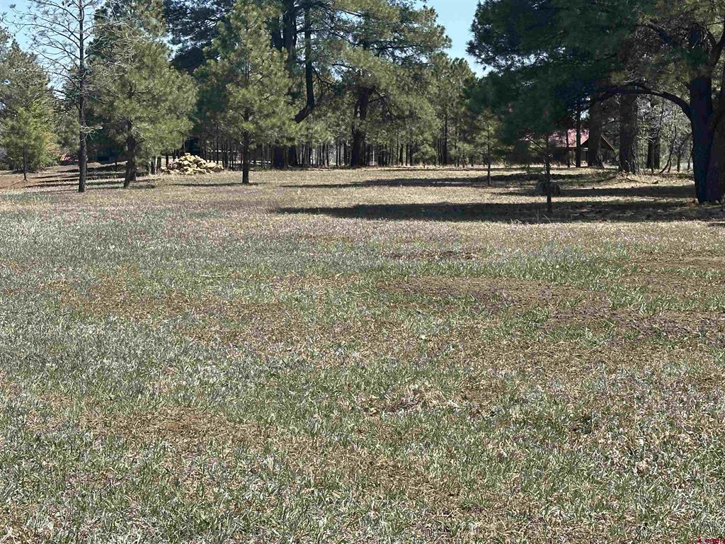 1259 Lakeside Drive Pagosa Springs CO 81147