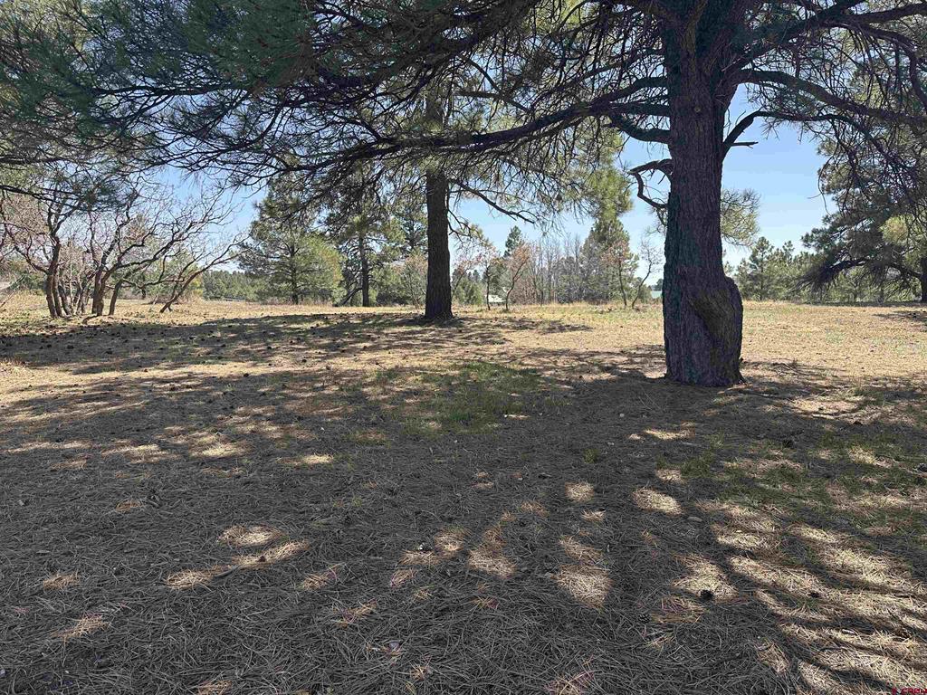 1259 Lakeside Drive Pagosa Springs CO 81147