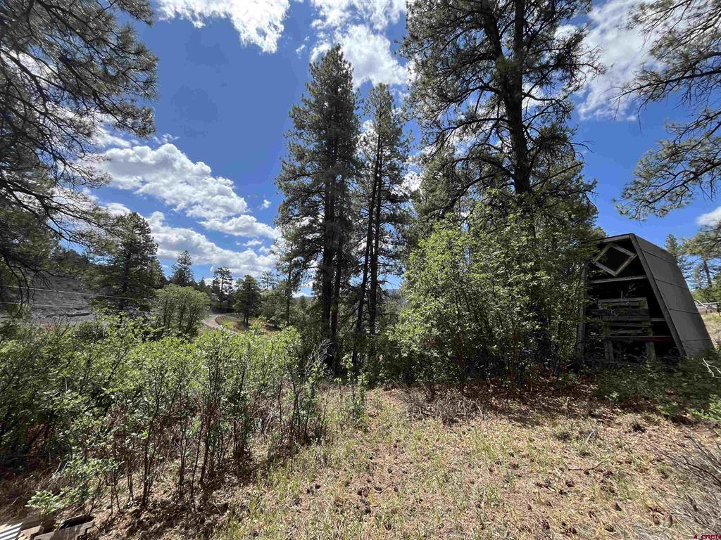 320 Deer Trail Pagosa Springs CO 81147