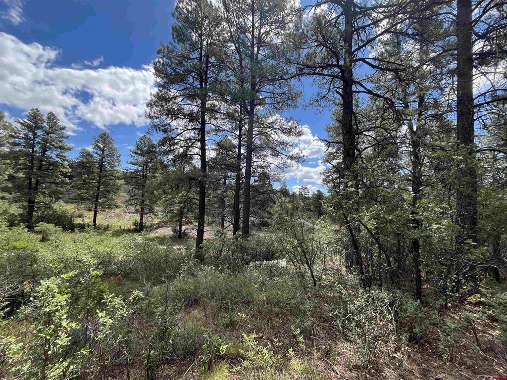 320 Deer Trail Pagosa Springs CO 81147