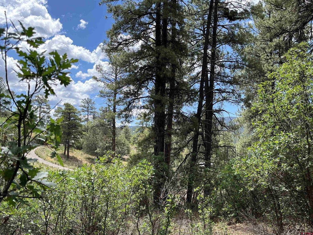 320 Deer Trail Pagosa Springs CO 81147