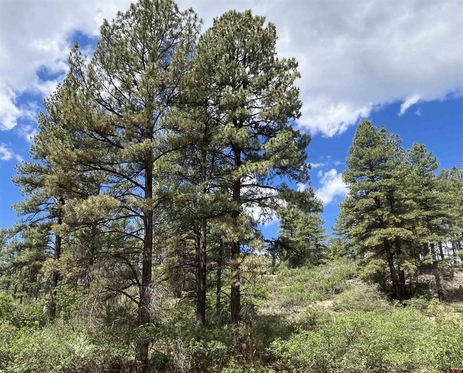 320 Deer Trail Pagosa Springs CO 81147