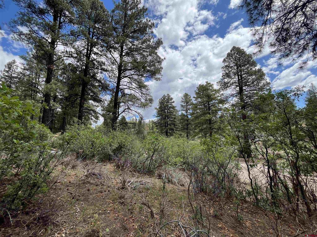 320 Deer Trail Pagosa Springs CO 81147