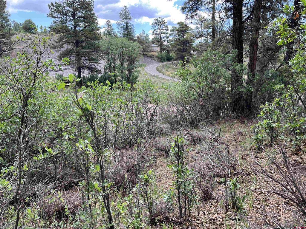 320 Deer Trail Pagosa Springs CO 81147