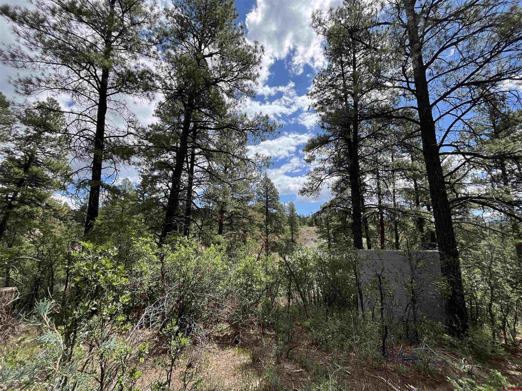 320 Deer Trail Pagosa Springs CO 81147