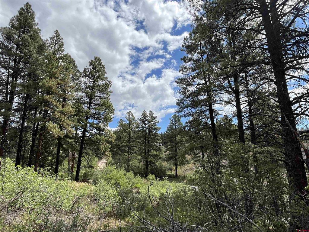 320 Deer Trail Pagosa Springs CO 81147