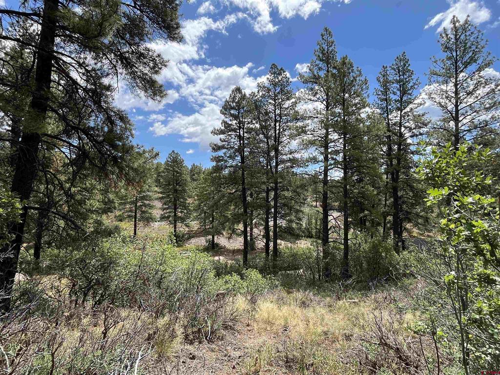320 Deer Trail Pagosa Springs CO 81147