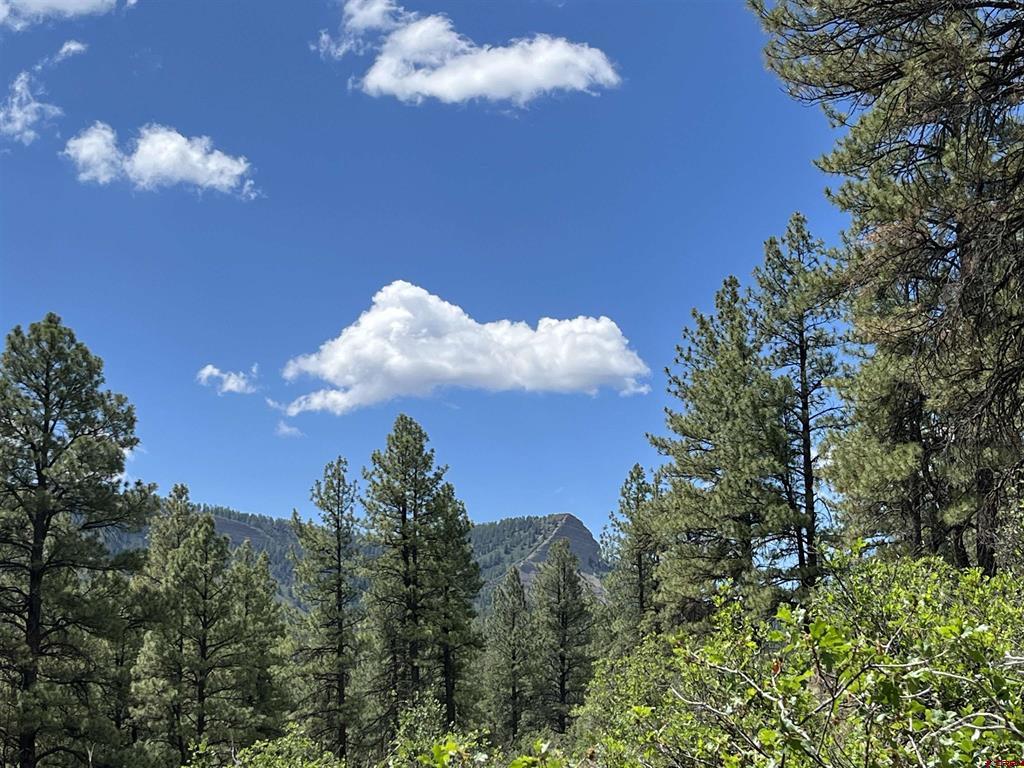 320 Deer Trail Pagosa Springs CO 81147