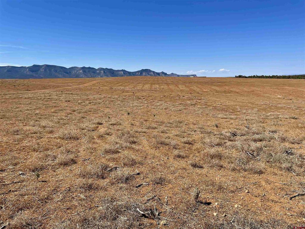 Tract 5 Road K.3 Cortez CO 81321
