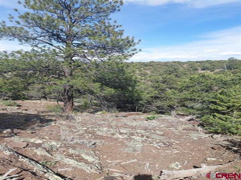 256 Sunrise Road South Fork CO 81154