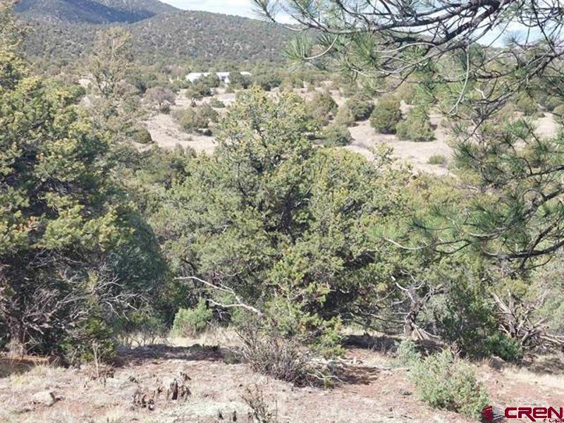 256 Sunrise Road South Fork CO 81154