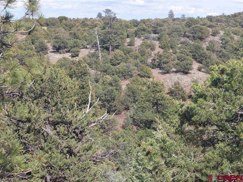 256 Sunrise Road South Fork CO 81154