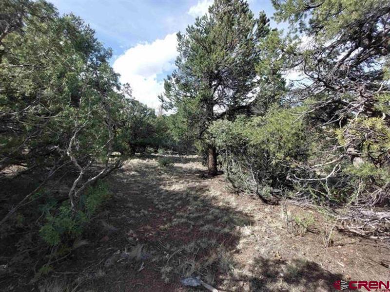 256 Sunrise Road South Fork CO 81154