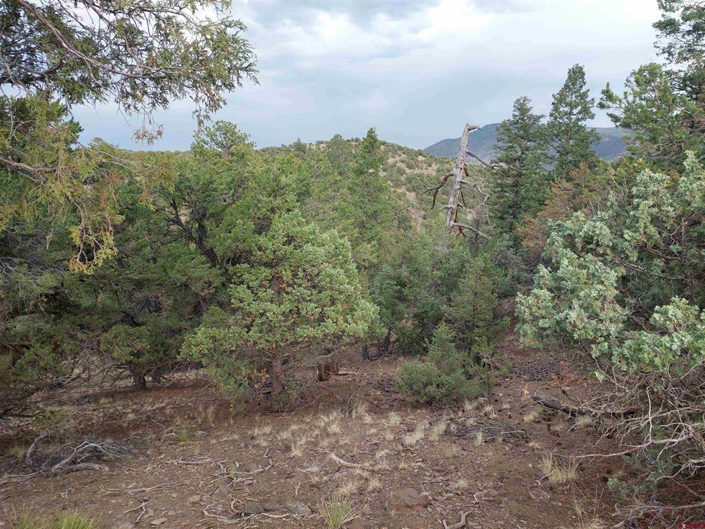 256 Sunrise Road South Fork CO 81154