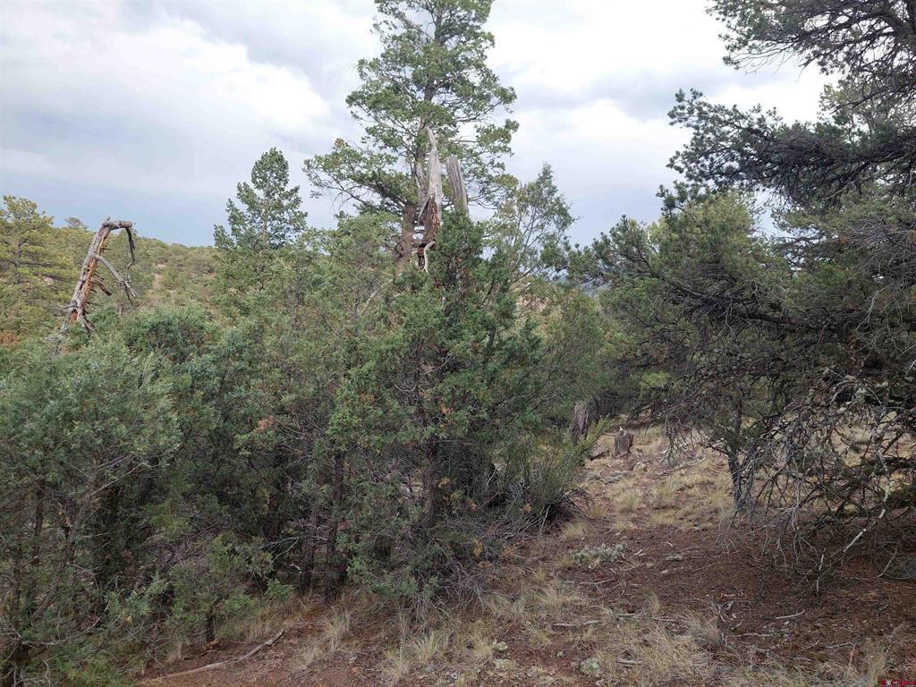 256 Sunrise Road South Fork CO 81154